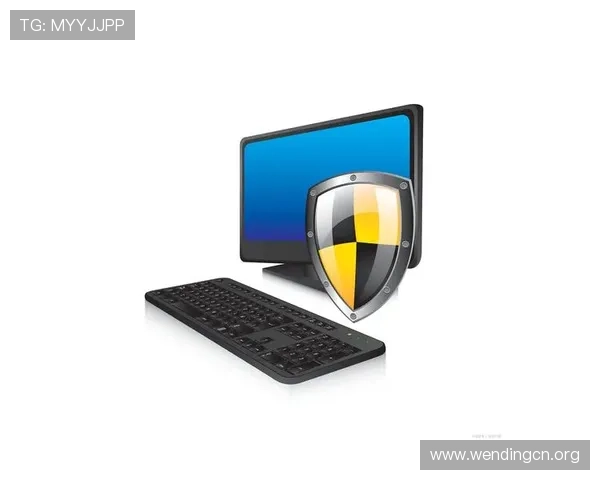 问鼎网页安全的最佳实践：保护用户数据的有效措施